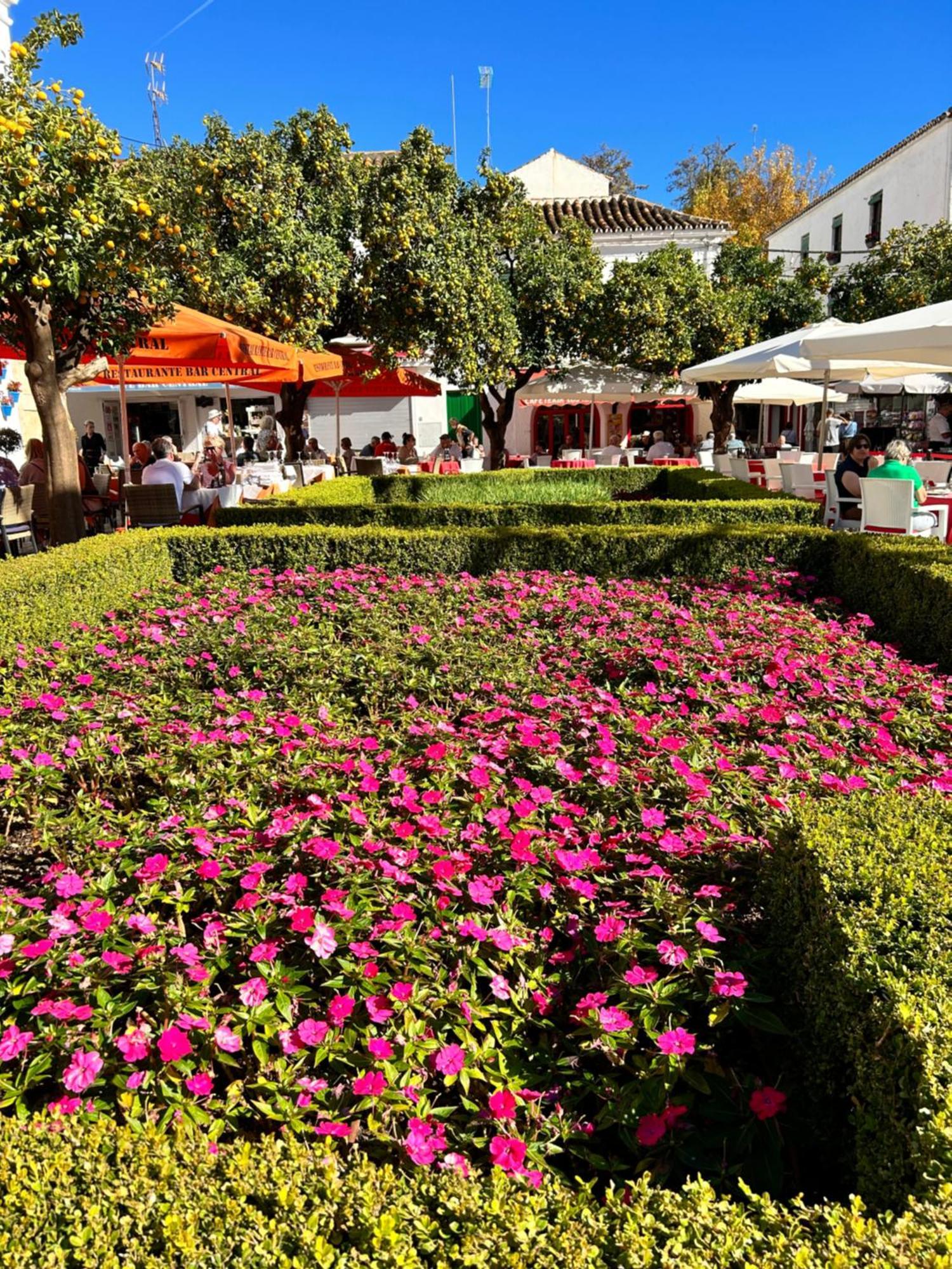 Mare Apartments Marbella Buitenkant foto